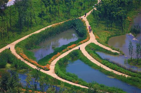  Linghu Wetland Park! An Oasis of Serenity and Wildlife Wonders!