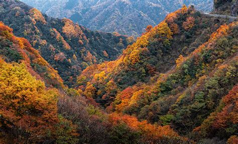 Qiqiao Mountain Scenic Area Enchanting Views and Historical Significance!