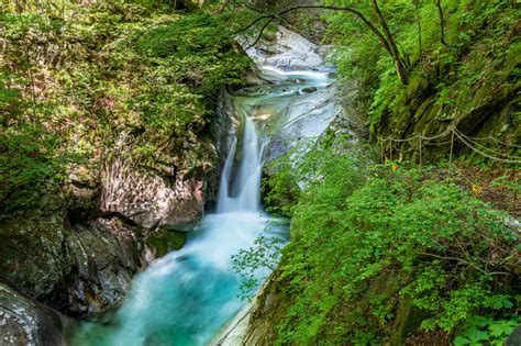 Chichibu-Tama-Kai National Park! En uppfriskande flykt från Tokyos hektiska liv?